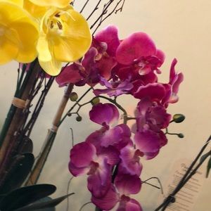 Meet your Posher, Mina